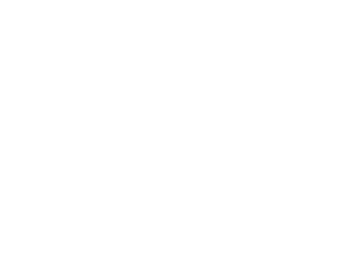 Fly Emirates